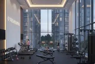 Gymnasium