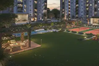 Party Lawn